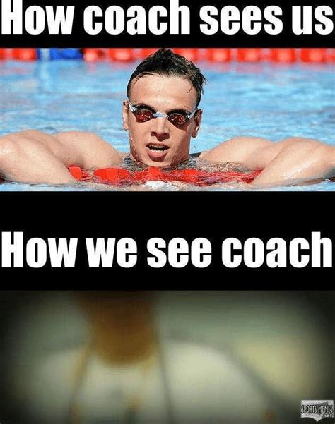 swimming memes|swimming memes images.